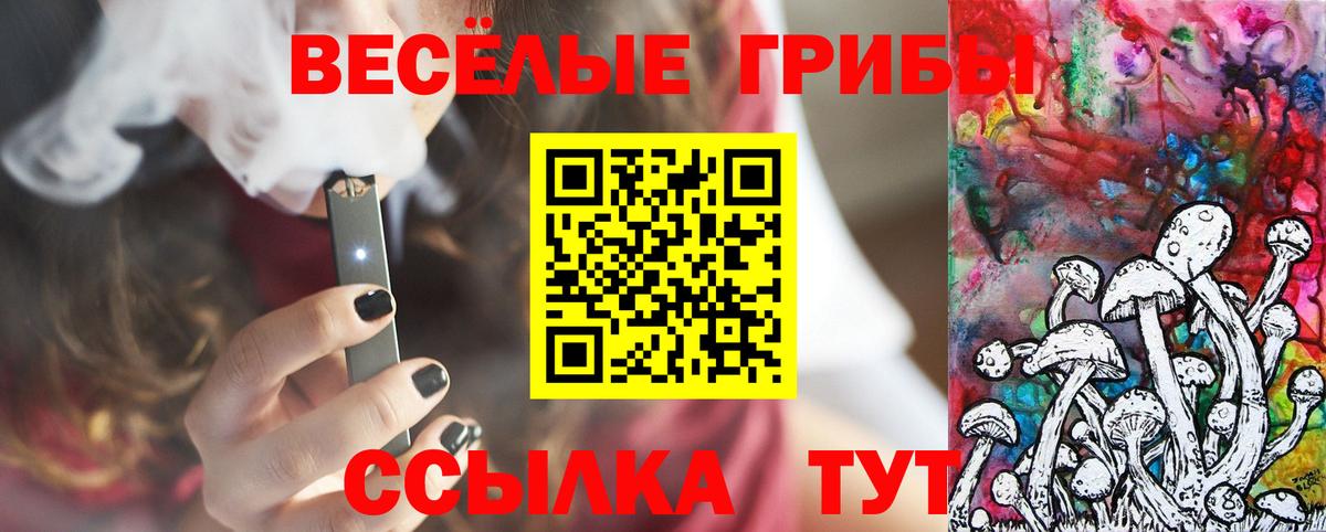 Галлюциногенные грибы Psilocybe  где можно купить   Саянск  Вход с VPN 